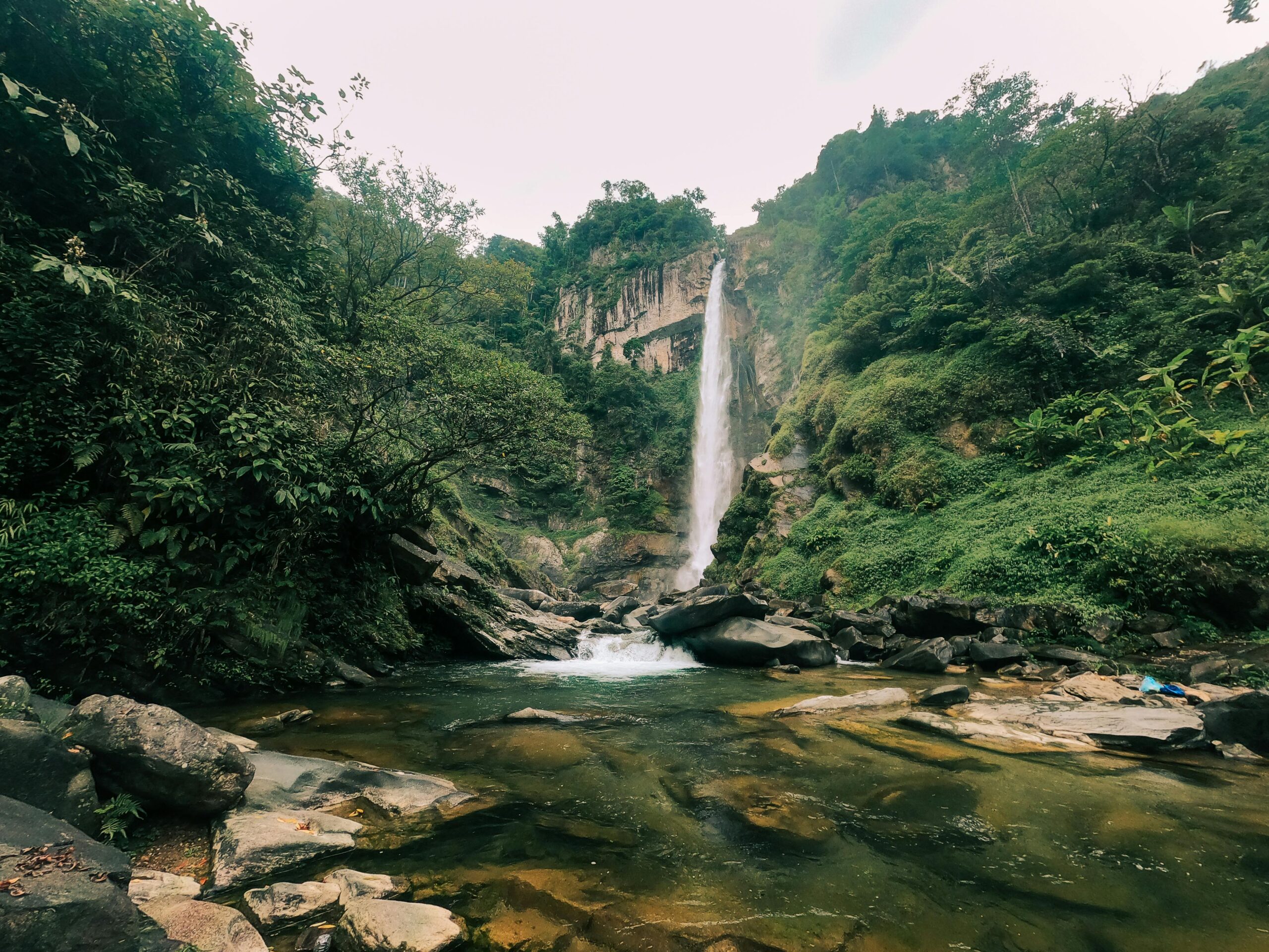 A cascading waterfall in a lush tropical forest setting, captured with vivid greenery and clear waters.