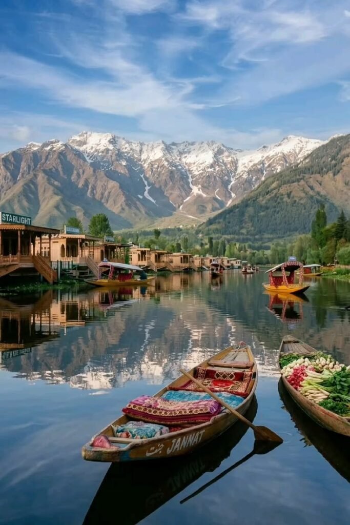 Shikara boats on Dal Lake, Kashmir