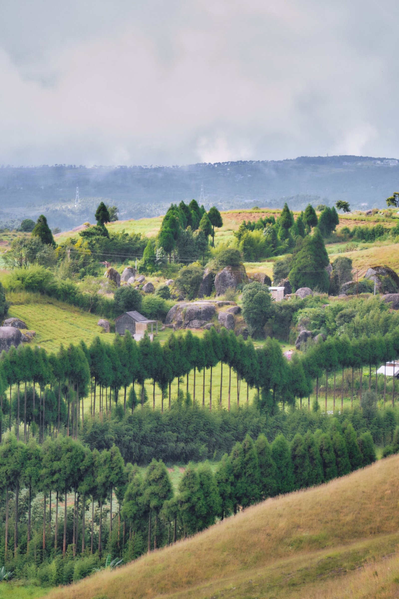 Rolling green hills of Meghalaya