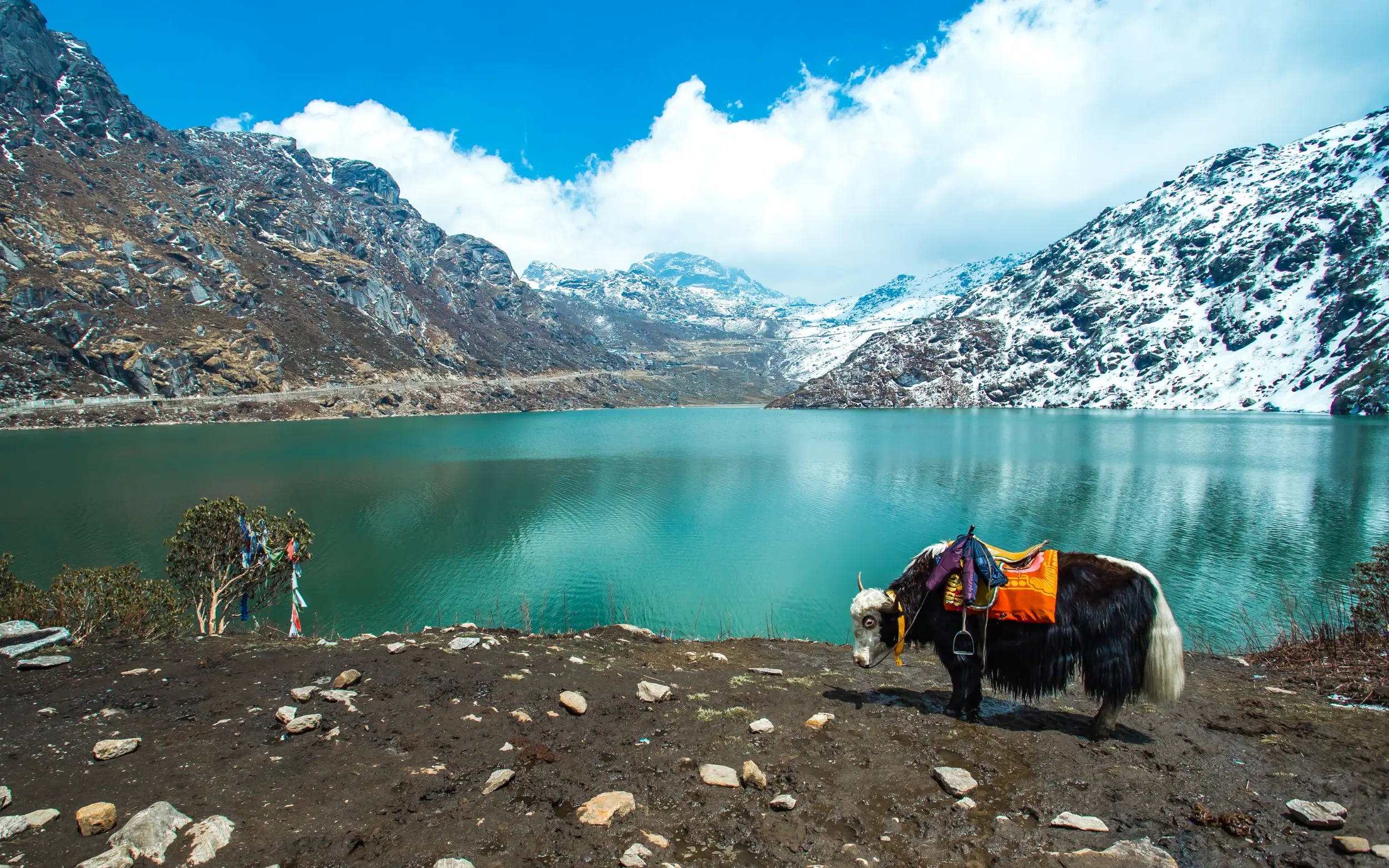 Gangtok & Tsomgo Lake Highlights