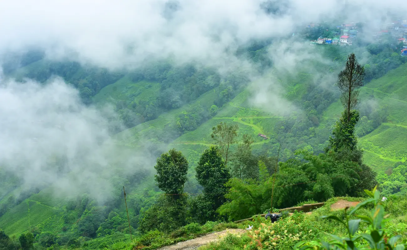 Darjeeling & Mirik Explorer